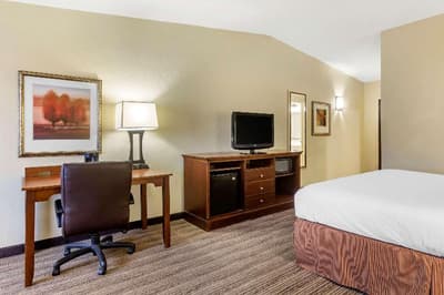 Country Inn & Suites Atlanta Downtown S