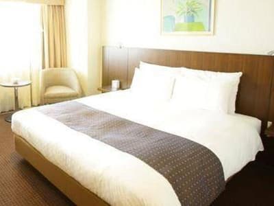 Loisir Hotel Toyohashi