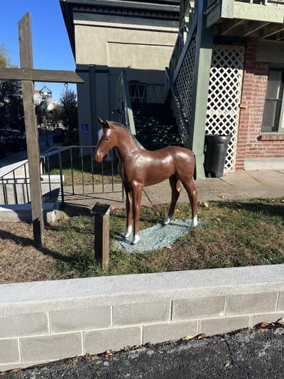 Community Court at Congress Park