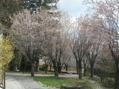 Residence VILLA LINDA