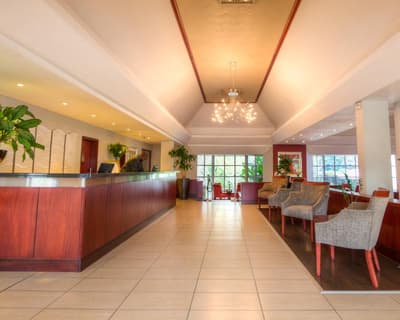 City Lodge Hotel Sandton, Morningside