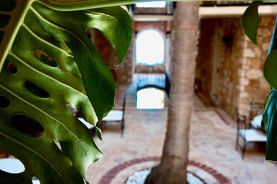 Tamara Prive Adult Only+12