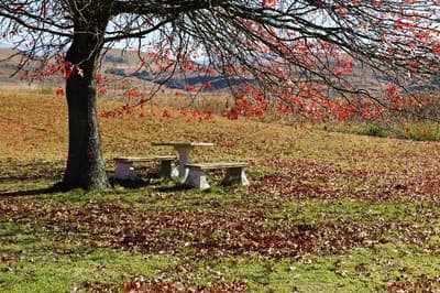 Moorcroft Manor