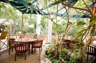 Center Parcs Bispinger Heide