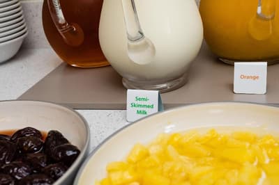 The Lawn Guest House