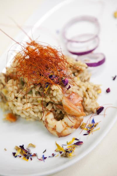 Terme della Versilia - Hotel Villa Undulna