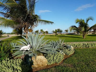 Ocean Beach Resort & Spa