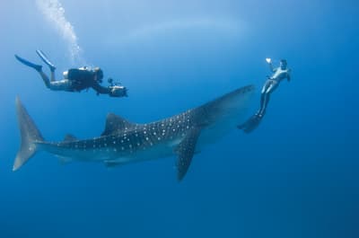 Four Seasons Resort Maldives at Landaa Giraavaru