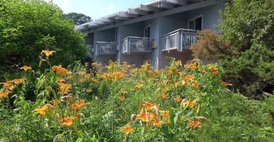 Hotel Vervana Trademark Collection by Wyndham