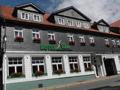 Die Tanne