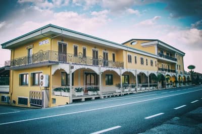Palmed Hotel