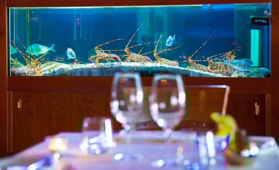 Hotel Villa Kapetanovic