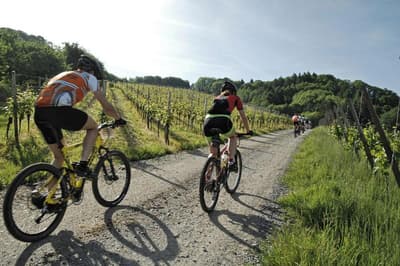 Residence Park Solemaremma