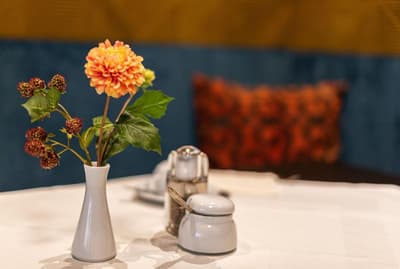 Apartments Wolf Dietrich