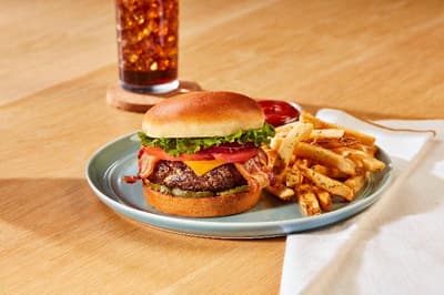 Holiday Inn Tampa North