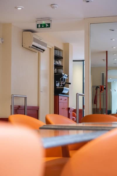 Ours Blanc Toulouse Centre