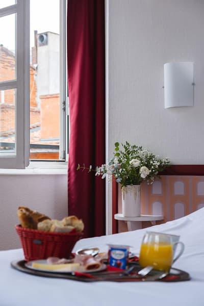 Ours Blanc Toulouse Centre