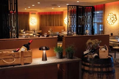 Hotel Svanen Billund