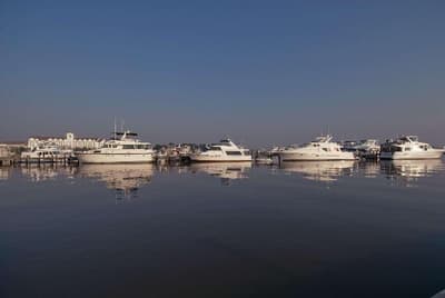 Hyatt Regency Chesapeake Bay