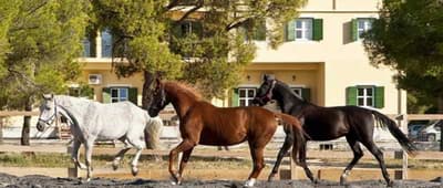 Hotel Vrata Krke Sibenik