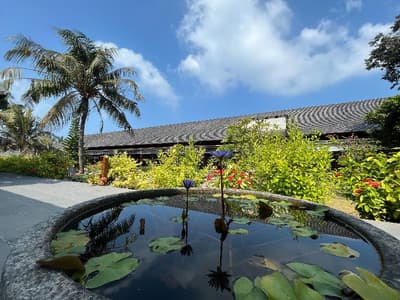 The Barefoot Eco Hotel