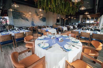 Panagia Premier Trabzon