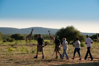 Marataba Safari Lodge