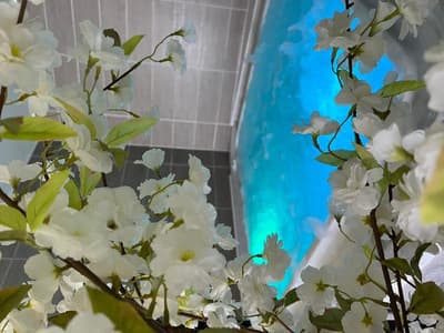 Hotel Le Calme Des Pins Spa