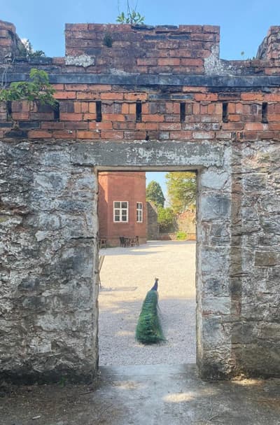 Ruthin Castle Hotel & Spa
