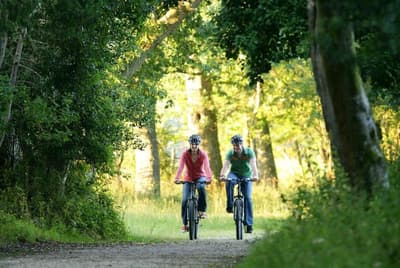 Careys Manor Hotel and Spa