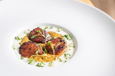 Fistral Beach Hotel and Spa