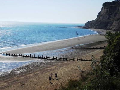 Luccombe Manor Country House Hotel
