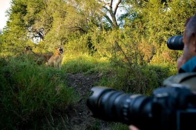 Lion Sands Narina Lodge