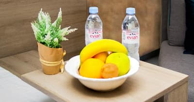 Garni Hotel Mint