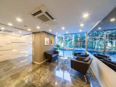 Molton Monapart Mecidiyekoy