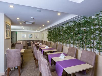 Molton Monapart Mecidiyekoy