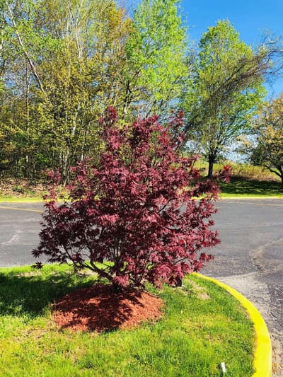 Best Western West Lebanon- Hanover Hotel