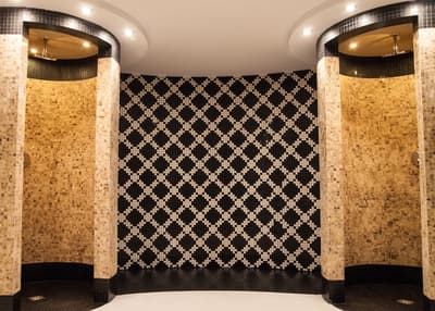 Hotel Dana Business & Conference