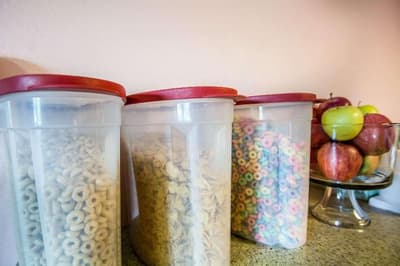 Econo Lodge Hornell Hornell