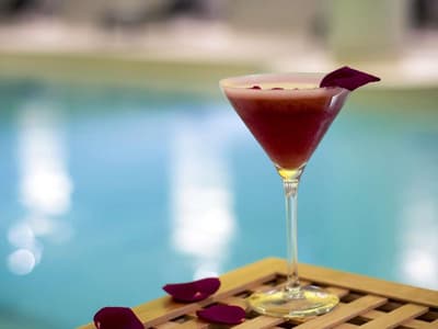 Pullman Paris Roissy CDG Havaalanı