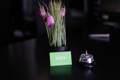 Boutique Tremo Bellas Artes