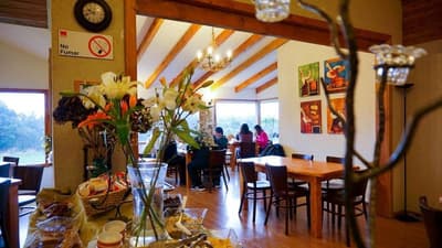 Borde Lago