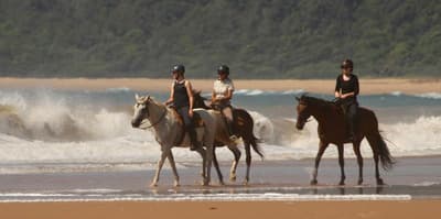 Lodge Afrique