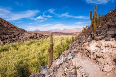 Nayara Alto Atacama