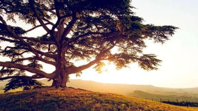 Kempinski Summerland Hotel & Resort