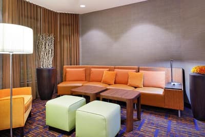 Courtyard Tampa North/I-75 Fletcher