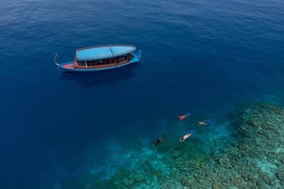 Mercure Maldives Kooddoo Resort Only Adults