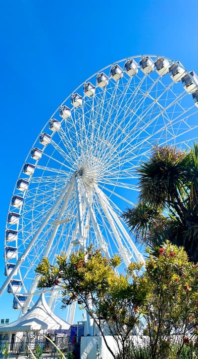 Pearl and Pebbles Hotel