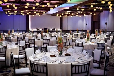 Lapita,Dubai Parks & Resorts,Autograph Collection
