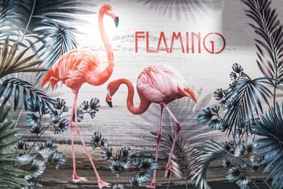 Flamingo Residence